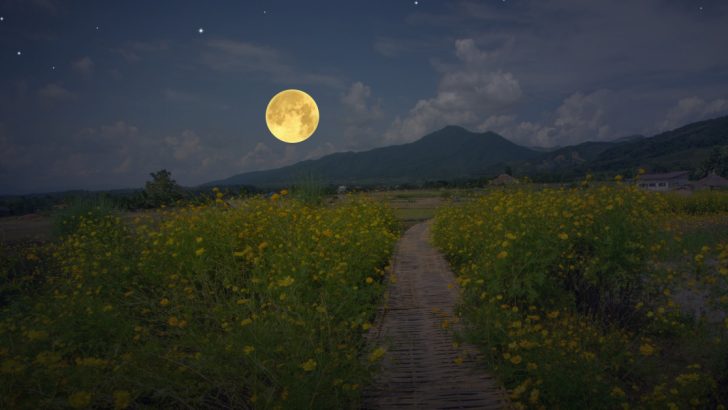 May’s Full Flower Moon Rises Soon. Here’s When You Can See It.