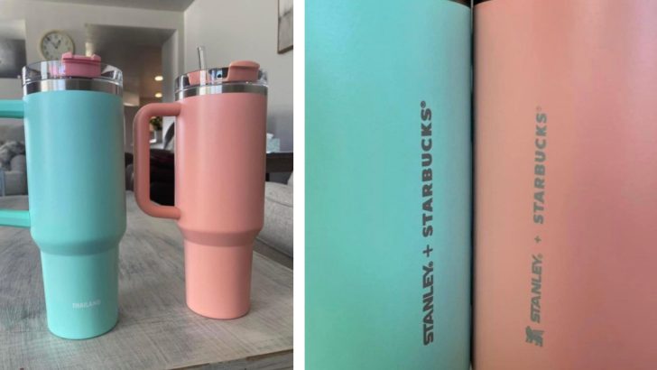 Turns Out, Starbucks Locations Are Only Getting 2 of Those Viral Stanley Tumblers and People Are Livid