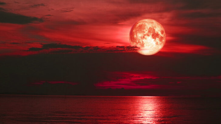 You’ll Soon Be Able to See The Full Strawberry Supermoon, Here’s How.