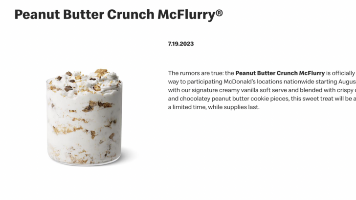 McDonald’s Is Bringing Us A New McFlurry Flavor, And You Are About To Go Nuts
