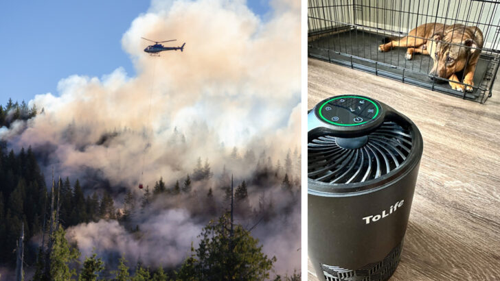 This $42 Air Purifier Will Help Keep The Smoke Out of Your Home from All of Those Wildfires