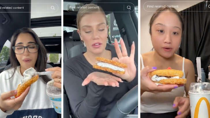 A McDonald’s ‘McFlurry Hashbrown Sandwich’ Is The Hottest New Food Trend and I’m Drooling