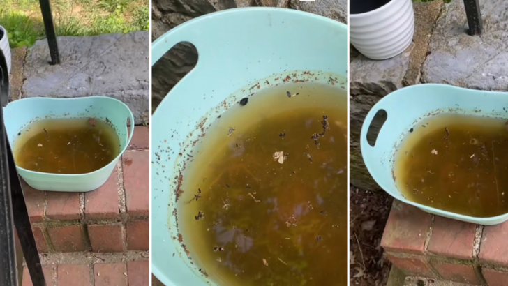 This TikTok Hack Shows You How to Create a Mosquito-Free Space and I’m Doing It Now