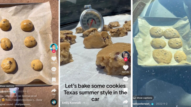 It’s So Hot That People Are Baking Cookies In Their Cars And I’m Dying Right Now