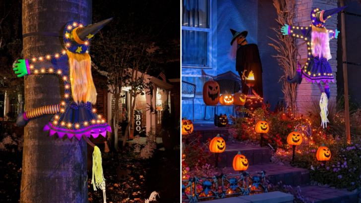 You Can Get a Light-Up Witch That Hangs From the Trunk of Your Trees to Decorate Your for Halloween