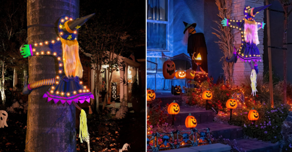 You Can Get a Light-Up Witch That Hangs From the Trunk of Your Trees to Decorate Your for Halloween