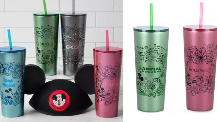 New Disney Parks Starbucks Tumblers Are Here And I Need Them All