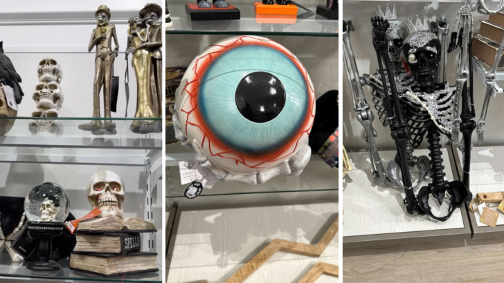 HomeGoods Dropped Their Halloween Collection and I’m On My Way