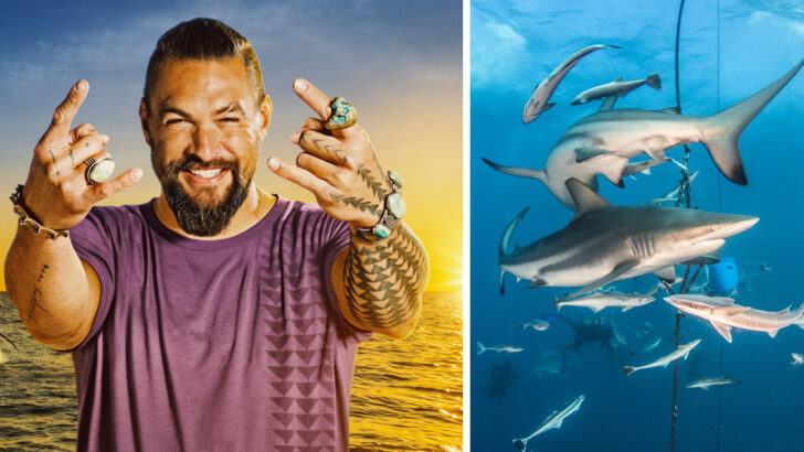 Jason Momoa Is Hosting This Year’s Shark Week And We Are So There