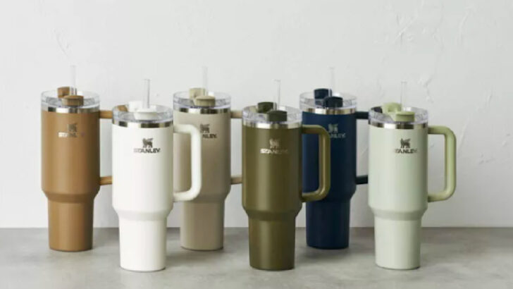 Target Just Dropped New Hearth & Hand with Magnolia Stanley Tumblers And They Are Gorgeous