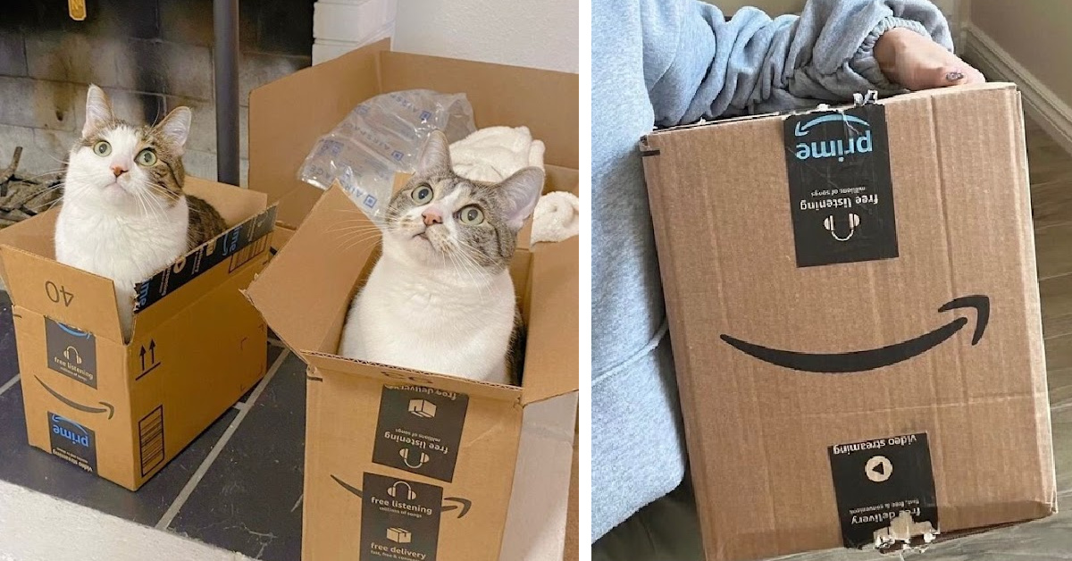 Amazon Is Raising It’s Minimums For Free Shipping. Here’s What We Know.