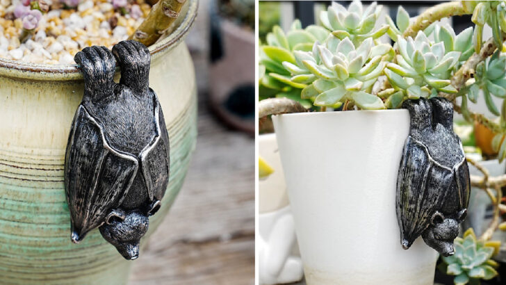 You Can Get A Hanging Bat That Hugs Your Favorite Flower Pot and It’s So Cute