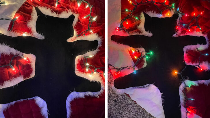 This Fried Cat Rug Will Give You All The ‘Christmas Vacation’ Vibes This Holiday Season