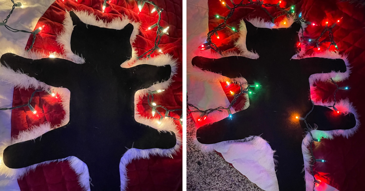 This Fried Cat Rug Will Give You All The ‘Christmas Vacation’ Vibes This Holiday Season
