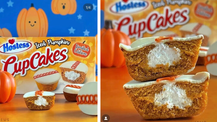 You Can Now Get Hostess Iced Pumpkin CupCakes That’ll Have You Fallin’ In Love
