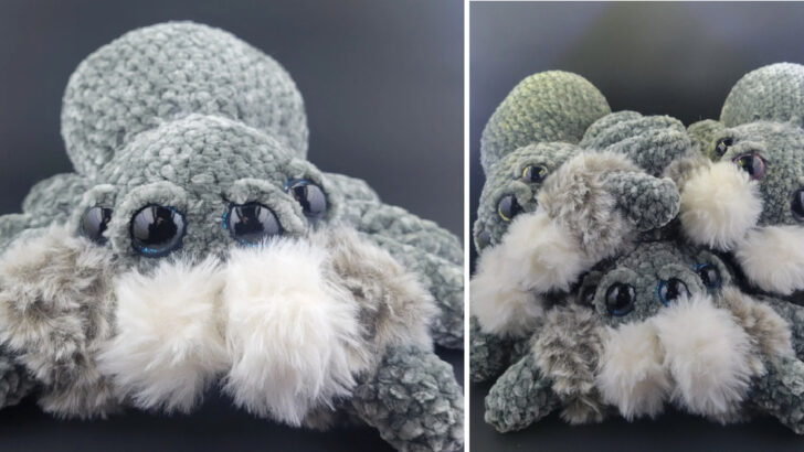 You Can Get An Adorable Crocheted Jumping Spider Plushy Just In Time For Halloween