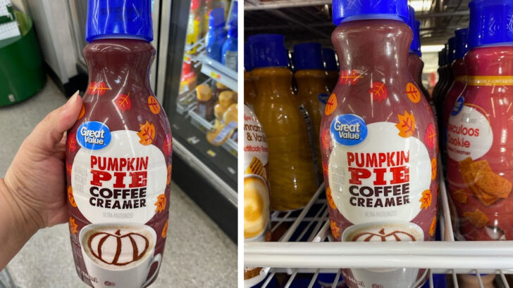 This Pumpkin Pie Coffee Creamer Has Already Been Spotted On Shelves And It’s Starting To Look A Lot Like Fall