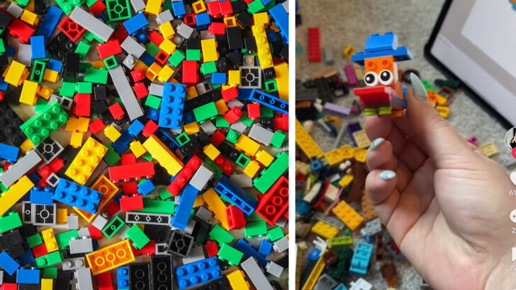 There’s An App That Analyzes Your LEGO Pieces And Tells You Exactly What To Build