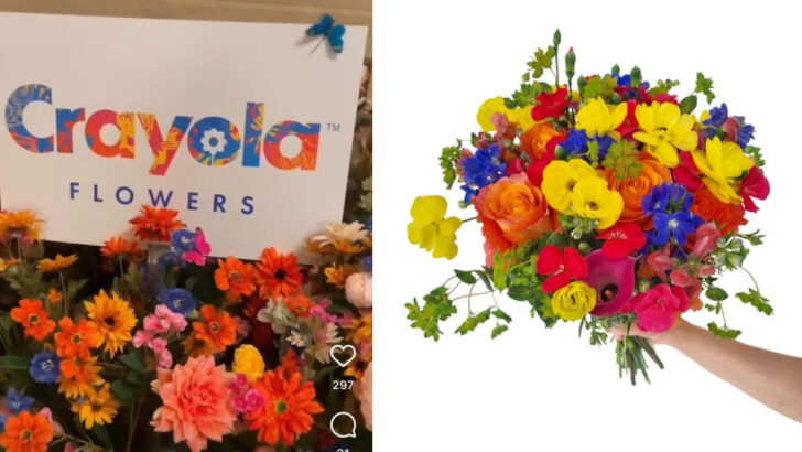 Crayola Now Sells Flowers That Help Support Different Non-Profit Organizations