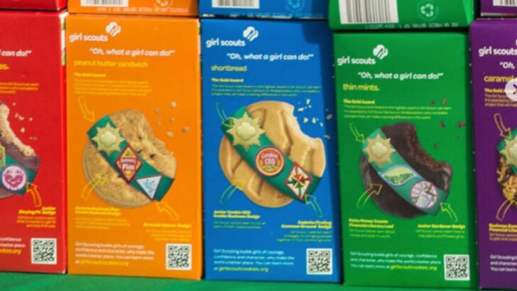 Girl Scout Cookies Are Coming Back But They Will Be More Expensive This Year