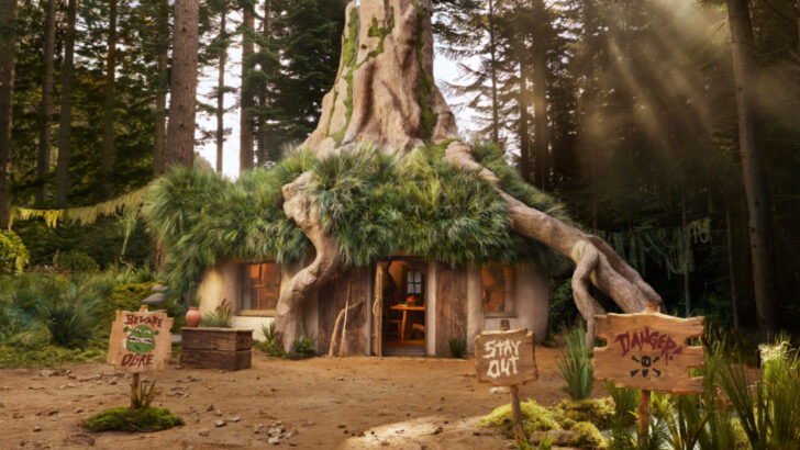You Can Now Book A Stay in Shrek’s Swamp And It Won’t Cost You A Dime