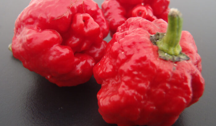 Move Over Carolina Reaper, The New “Pepper X” Pepper Is Hotter Than Pepper Spray