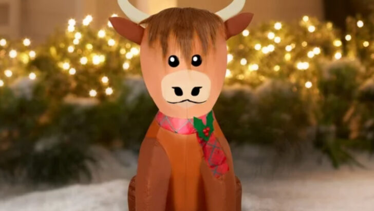 You Can Get An Inflatable Christmas Highlander Cow To Put in Your Yard For The Holidays