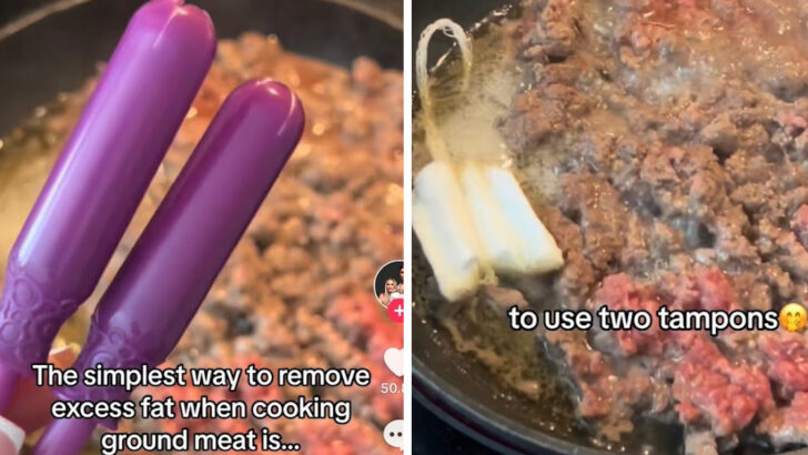This Woman Used A Tampon to Soak Up Meat Grease and I Can’t Unsee It