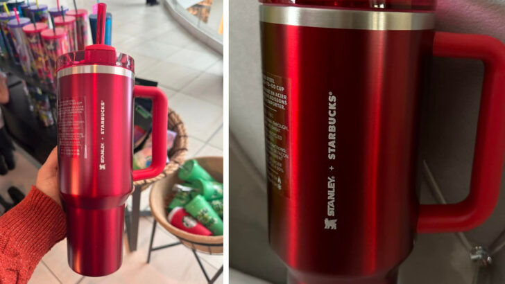 Starbucks Released Red Stanley Cups For The Holidays and People Are Losing Their Minds