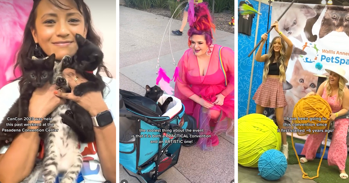CatCon Is Coming And It’s The Purrrfect Place For All Cat Lovers To Unite