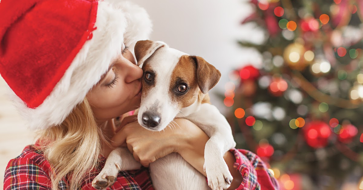 Here’s How to Get Free Digital Portraits of Your Pets
