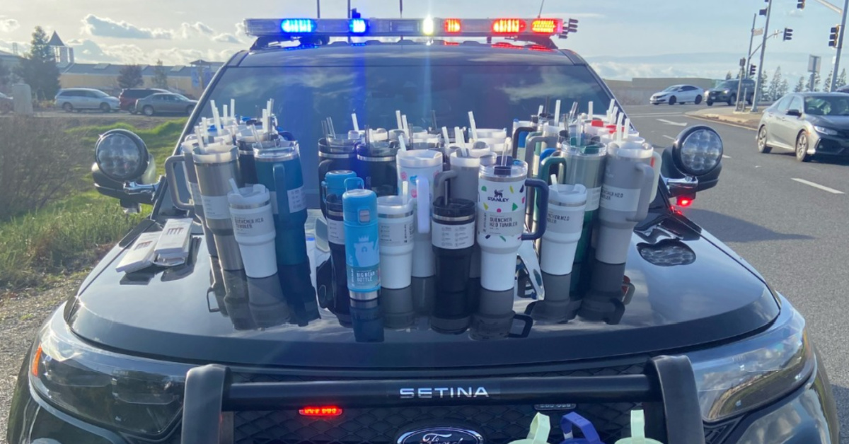 This Woman Was Arrested For Stealing 65 Stanley Tumblers Bringing The Stanley Cup Craze To A New Level