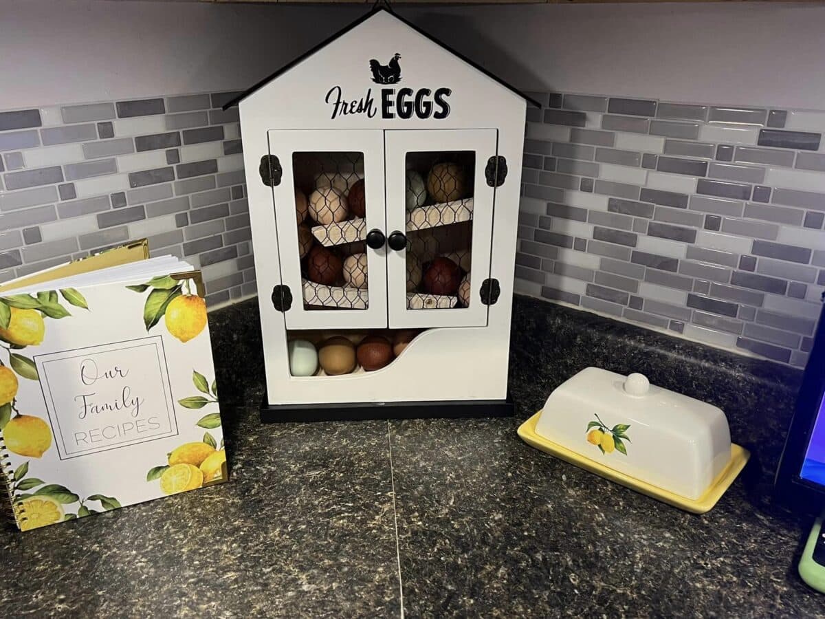 Tractor Supply is Selling the Cutest Farmhouse Egg Holder and I Need It!