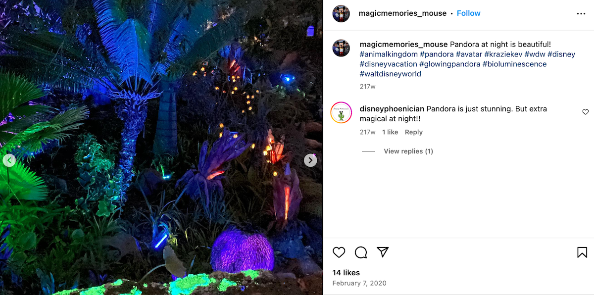 You Can Get Bioluminescent Plants So You Can Create Your Own 'Pandora' In  Your Yard