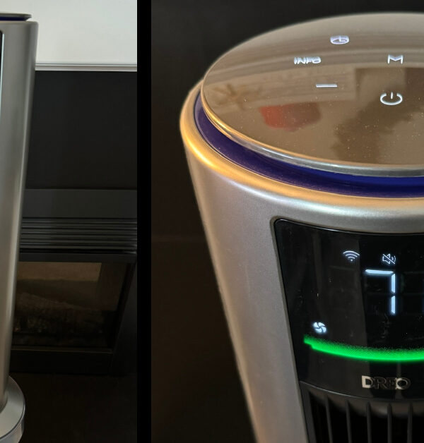 You Can Get A Smart Air Purifier That Will Help Keep Your Allergies at Bay
