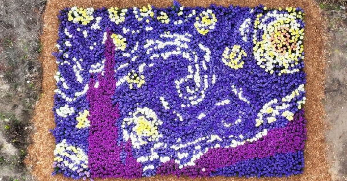 This Guy Planted Thousands of Flowers That Bloomed Into A Stunning ‘Starry Night’ Garden