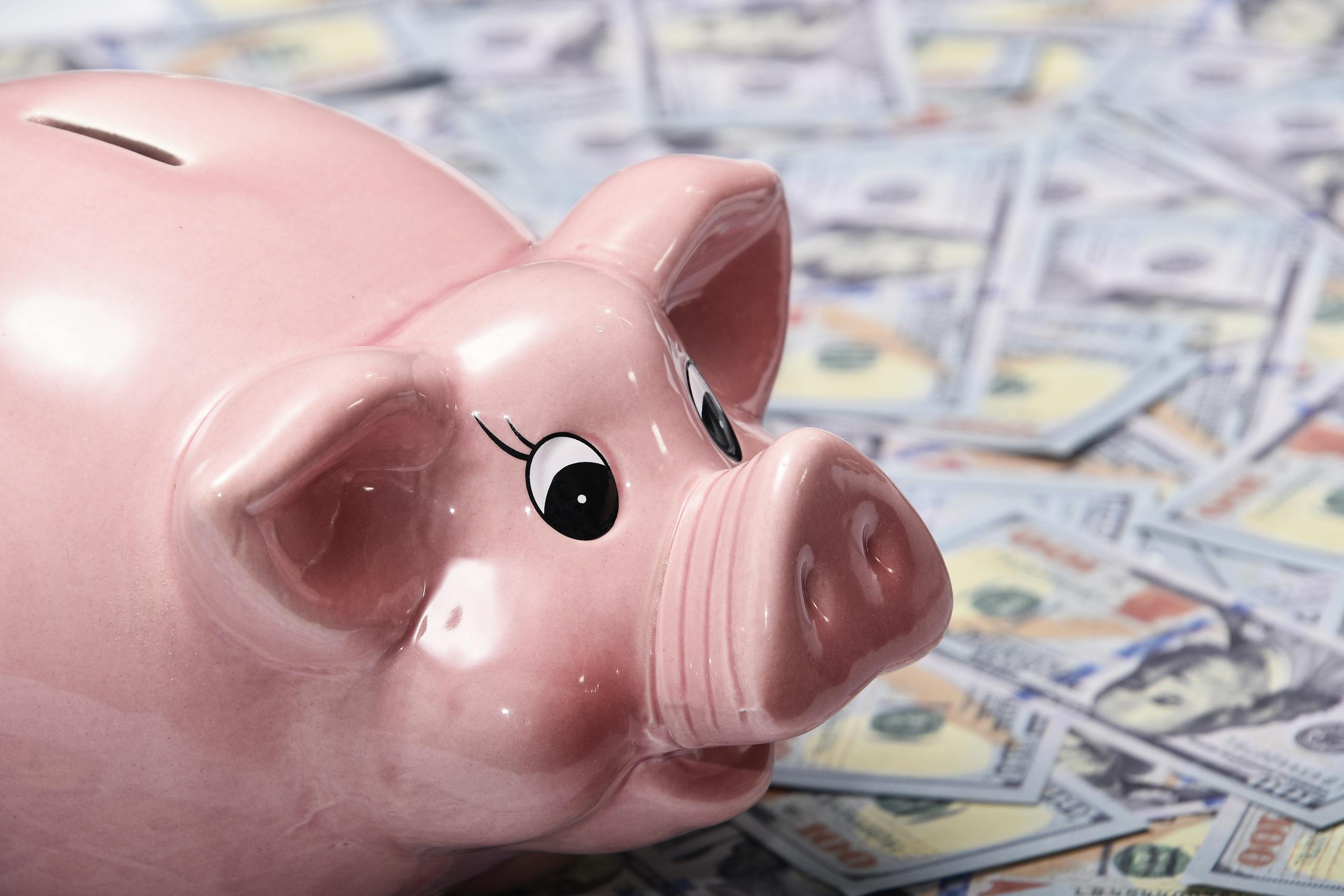 Close-Up Photo of Pink Piggy Bank