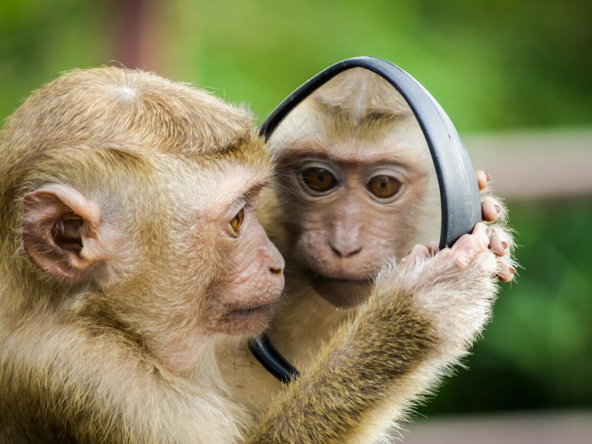 No, I won’t be taking care of you anymore
