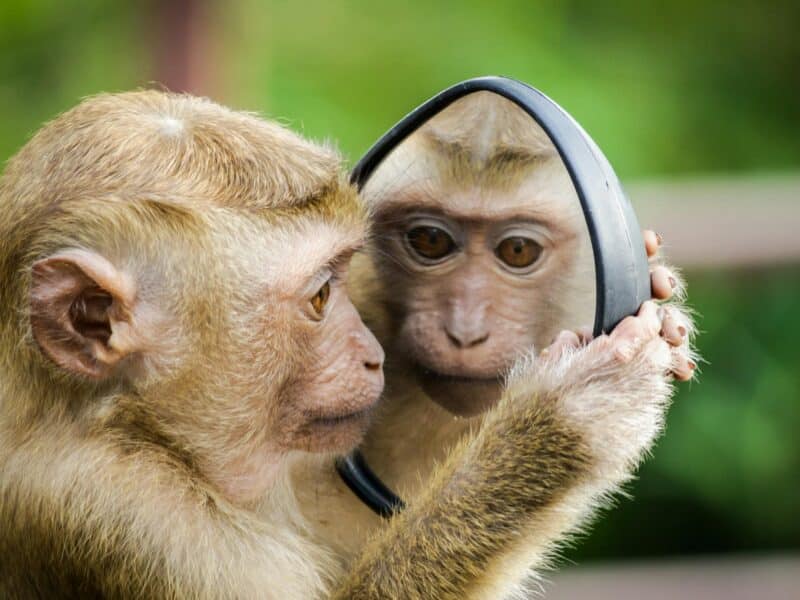 No, I won’t be taking care of you anymore