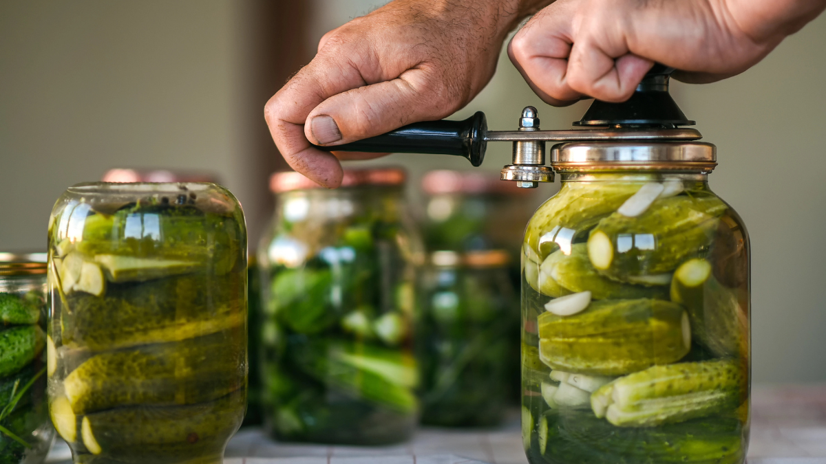 canning pickles
