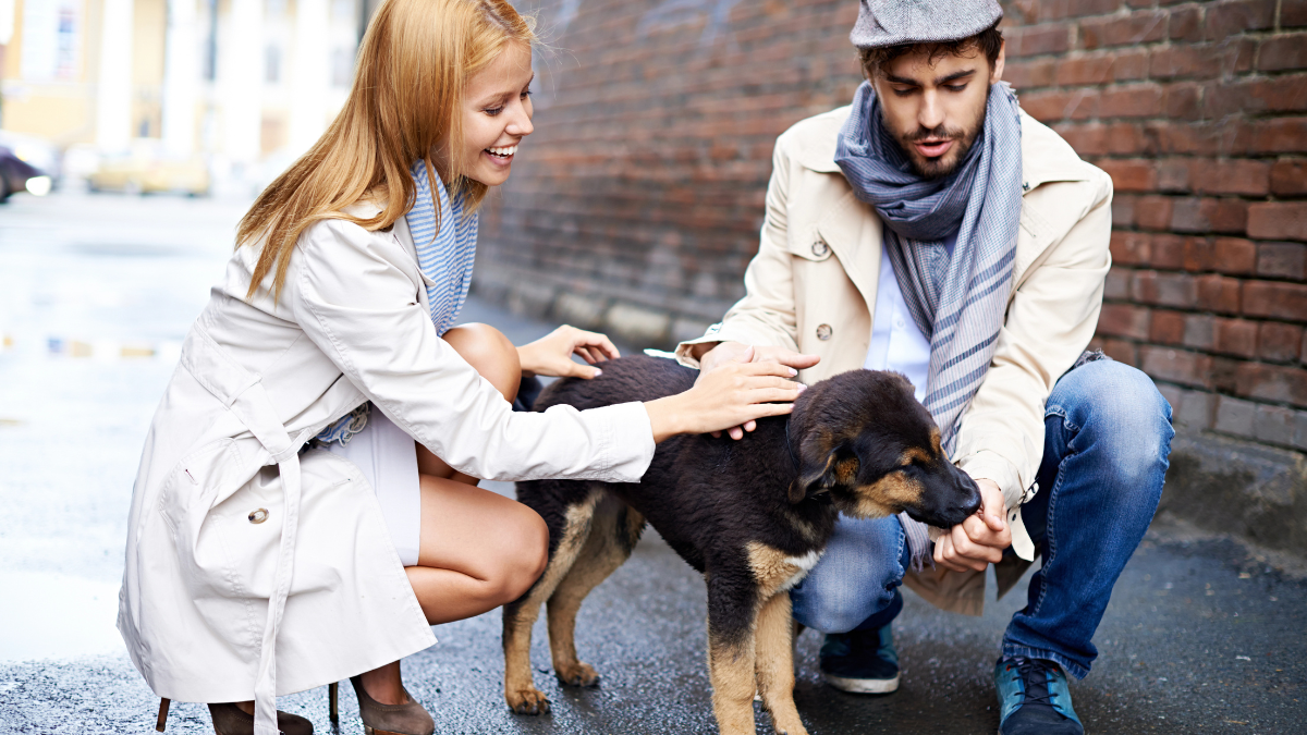 couple feeding dog