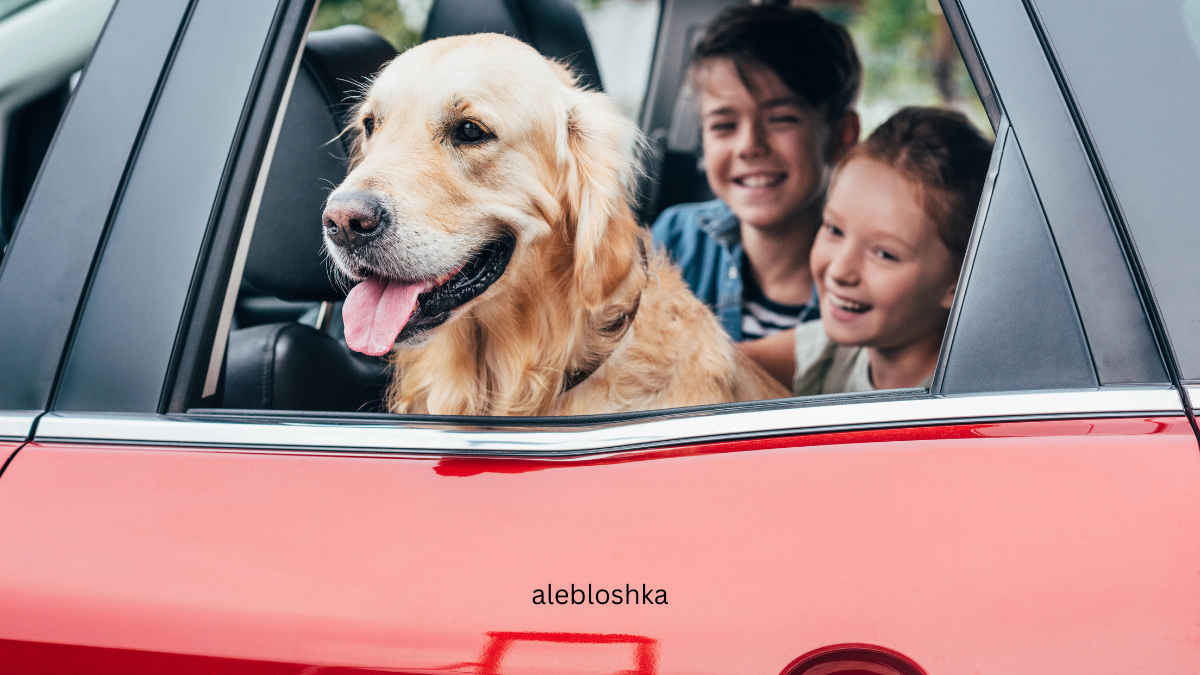 kids in car with dog