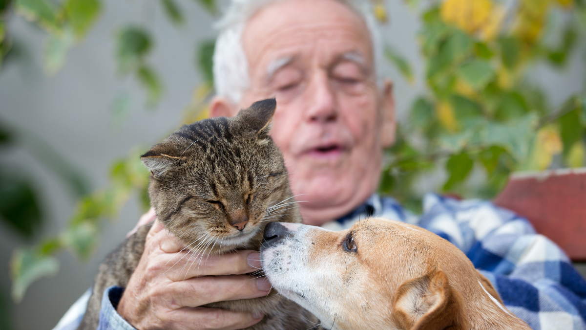man with dog and cat