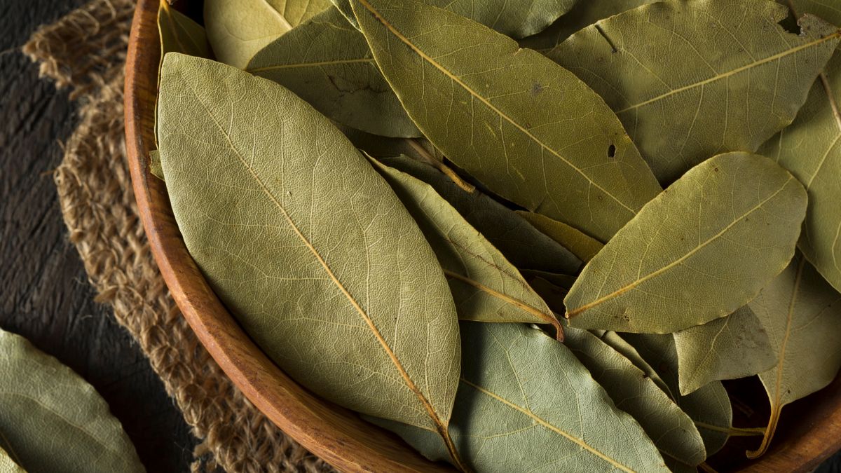 Bay Leaves