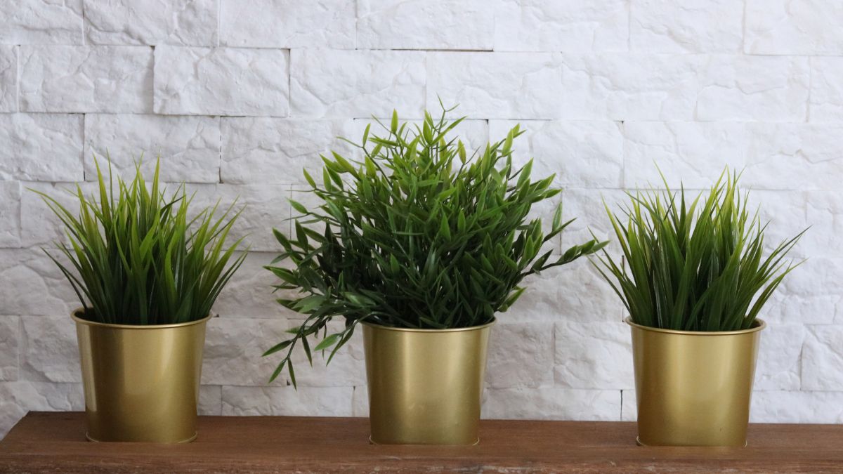 Brass Planters