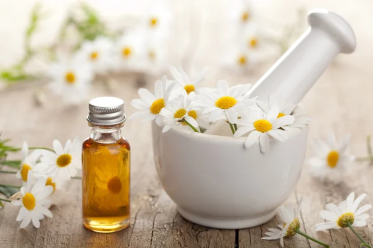Chamomile Oil