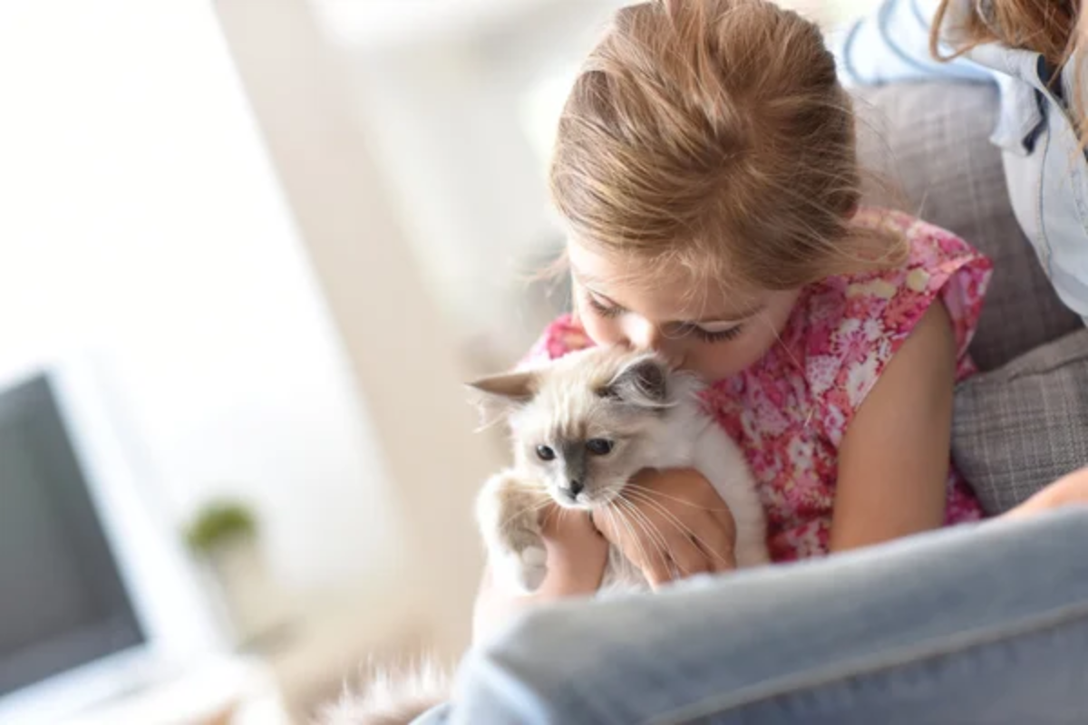 Child Cuddle Cat