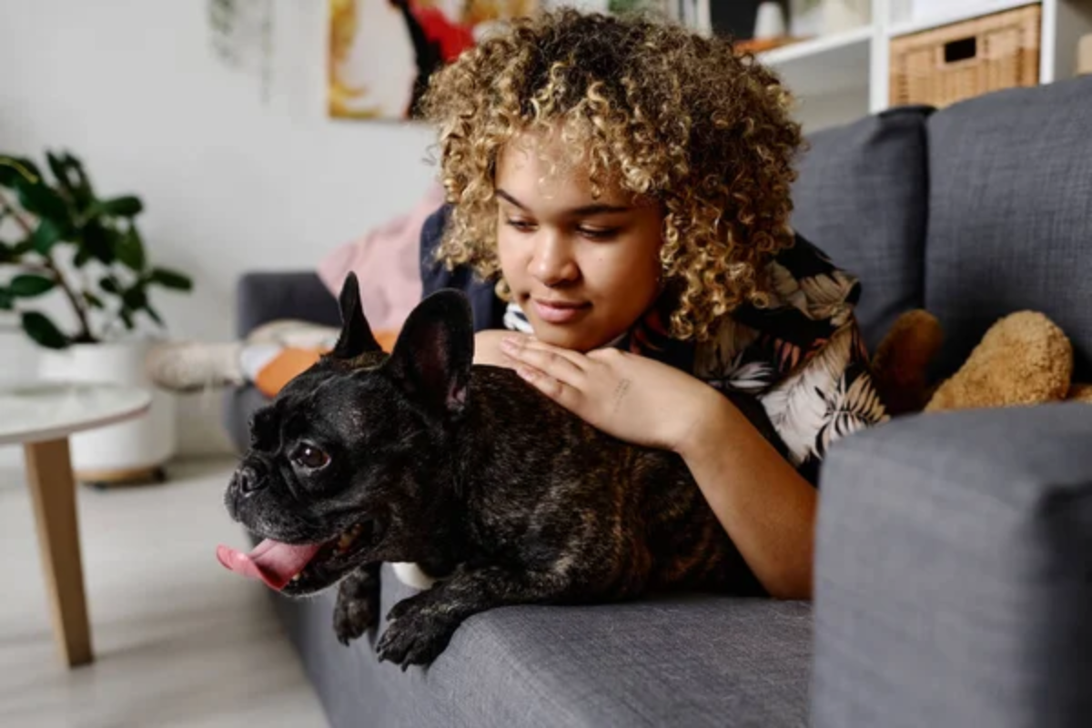 Child Dog