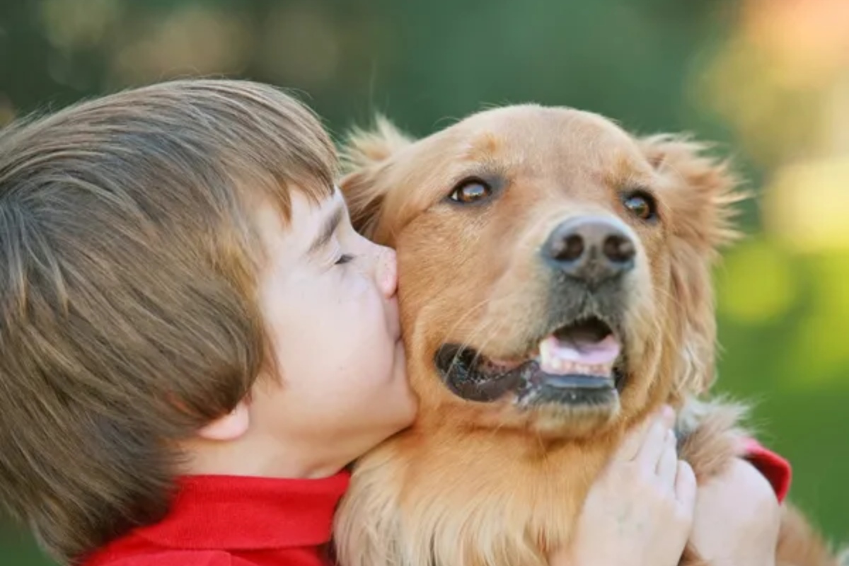 Child Dog Pet