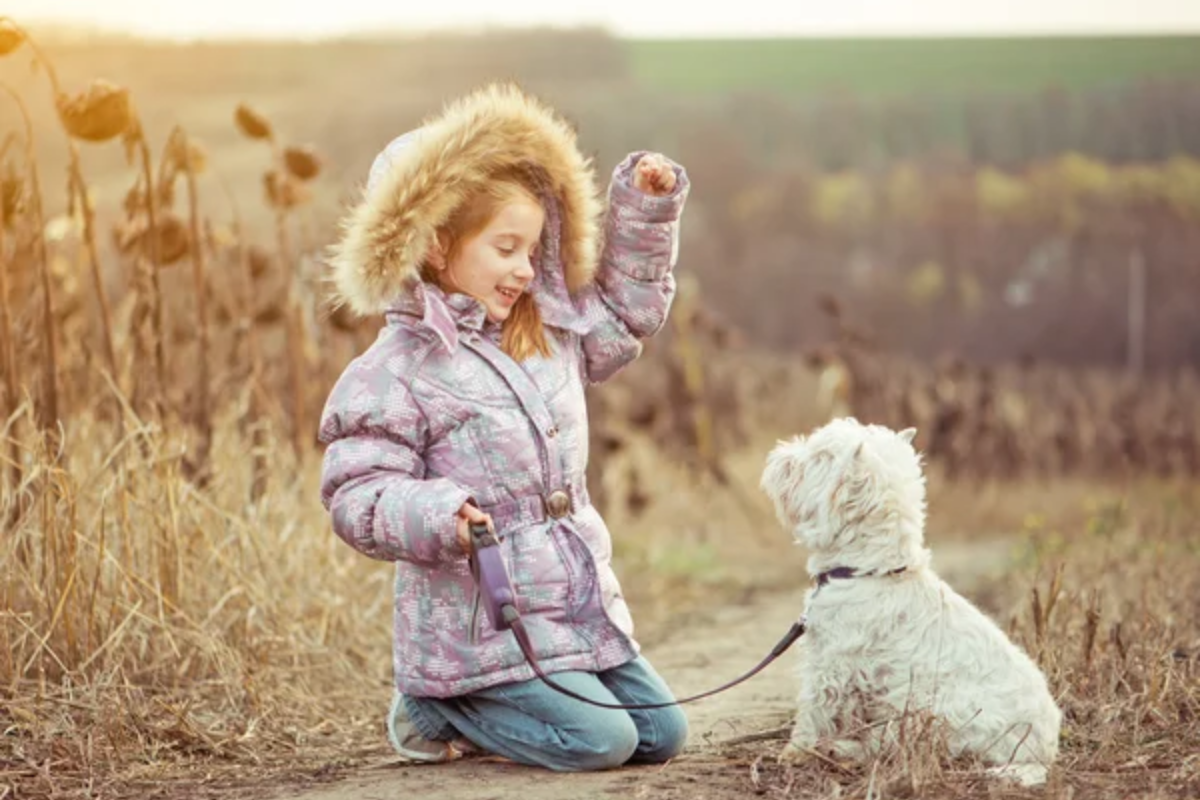 Child Dog Pet